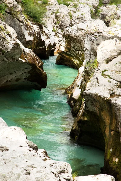 Visa Soca floden i nationalparken Triglav, Slovenien — Stockfoto