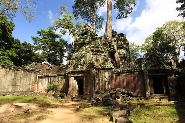 Templo Prohm Templos Angkor Camboja — Fotografia de Stock