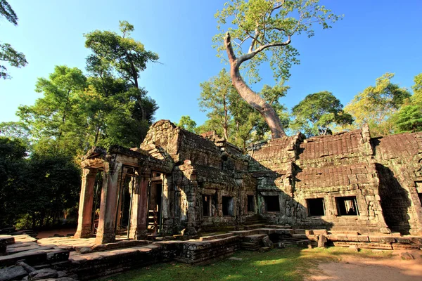 Templo Prohm Templos Angkor Camboja — Fotografia de Stock