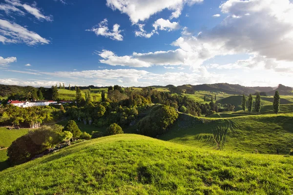 Paisajes del campo de Nueva Zelanda, Área de Waitomo —  Fotos de Stock