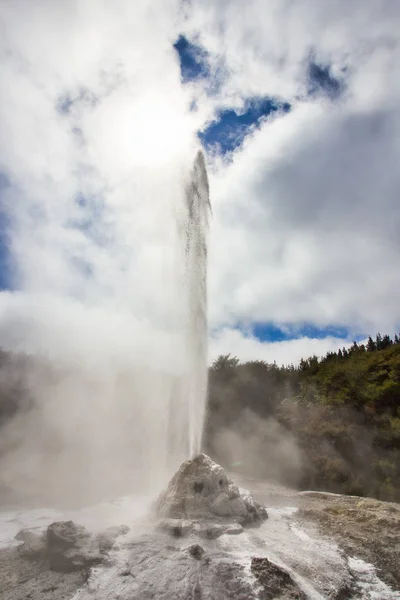 Lady Knox Geyser durante la erupción en el área geotérmica de Wai-O-Tapu, N —  Fotos de Stock