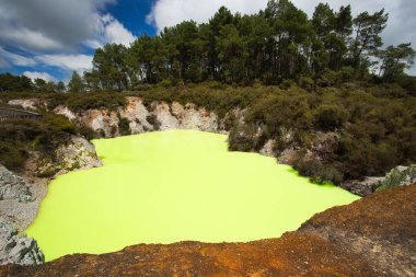 Rotor yakınlarındaki Wai-O-Tapu Jeotermal Alanda Yeşil Şeytan Banyo Havuzu