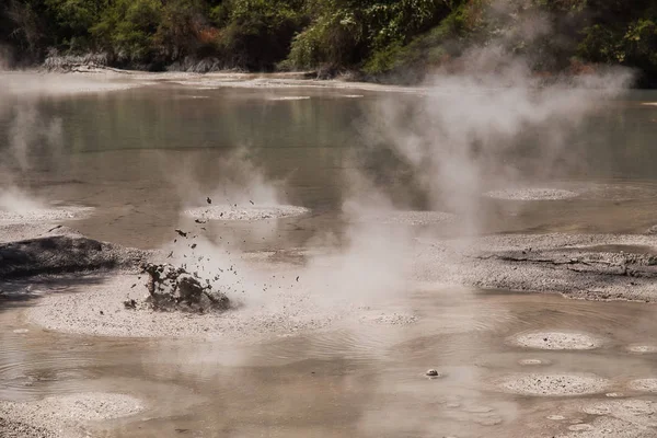 Бассейн грязи в геотермальной зоне Вай-О-Тапу недалеко от Роторуа, Новая Зеландия — стоковое фото