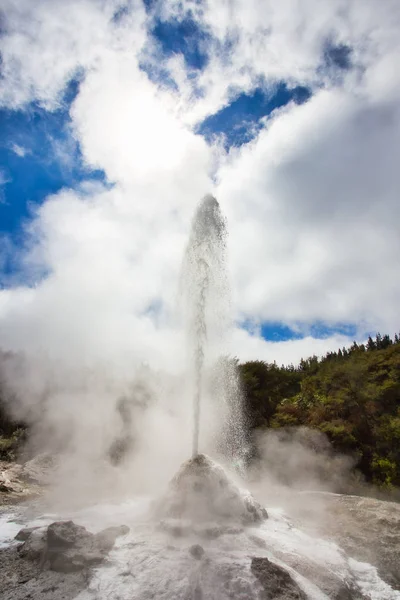 ニュージーランドのワイ・オ・タプ地熱地域で噴火中のレディー・ノックス・ガイザー — ストック写真