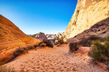 Las Vegas, Nevada yakınlarındaki Ateş Vadisi Eyalet Parkı 'ndaki Beyaz Domes Yolu' nun manzarası