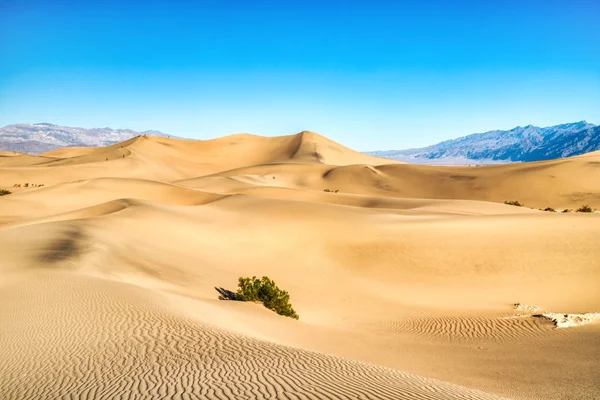 Mesquite Dunes Στο Εθνικό Πάρκο Death Valley Στο Sunrise Καλιφόρνια — Φωτογραφία Αρχείου