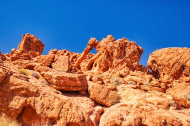 Las Vegas, Nevada, ABD yakınlarındaki Fire State Park Vadisi 'nde Şişman Marmot Kaya oluşumu