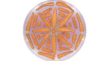 Kurutma (susuzlaştırma) havucunun zaman aşımı 4a1, üst görünüm