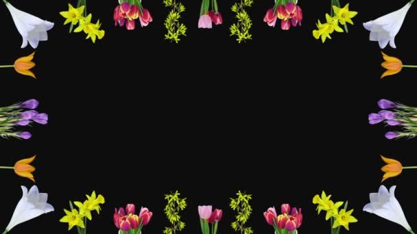 Cadre de culture et d'ouverture de diverses fleurs de Pâques 2a3 en format mat RGB + ALPHA isolé sur fond noir 