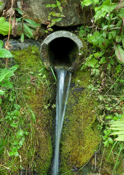 Natuurlijke bronwater Stockfoto