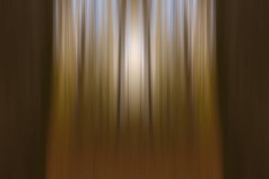 sonbahar orman arka plan