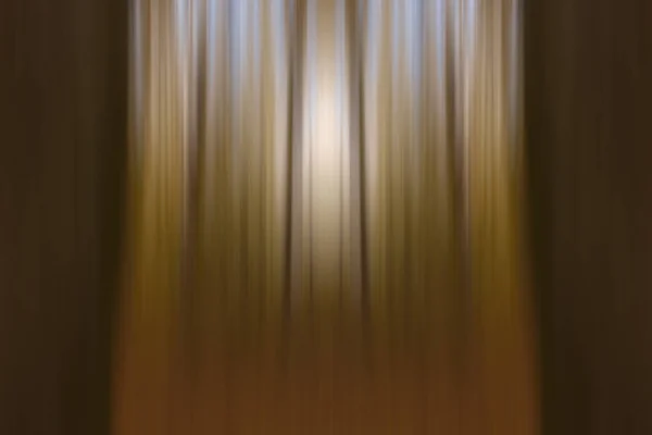 sonbahar orman arka plan