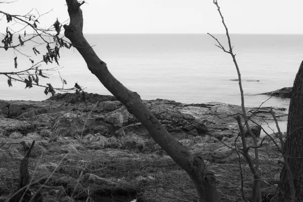 Bela costa em preto e branco — Fotografia de Stock
