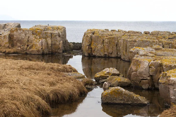 Rocky coast in Sweden — Stock Photo, Image