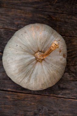 Queensland mavi kabak