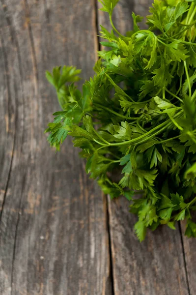 Fresh organic parsley — Stock Photo, Image