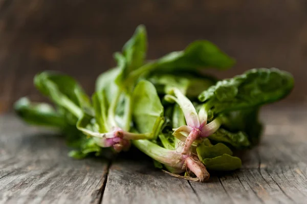 Fresh organic spinach — Stock Photo, Image