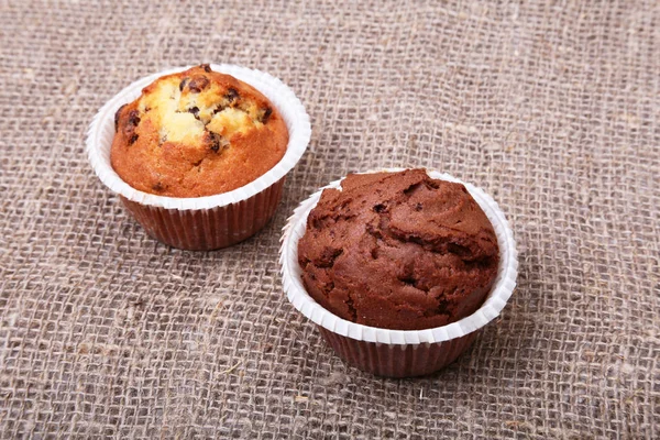 Muffins de mirtilo e chocolate em suporte de cupcake de papel — Fotografia de Stock