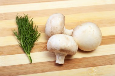 Taze beyaz mantar şampiyonu tahta arka planda.