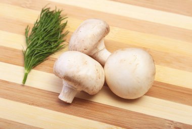 Taze beyaz mantar şampiyonu tahta arka planda.