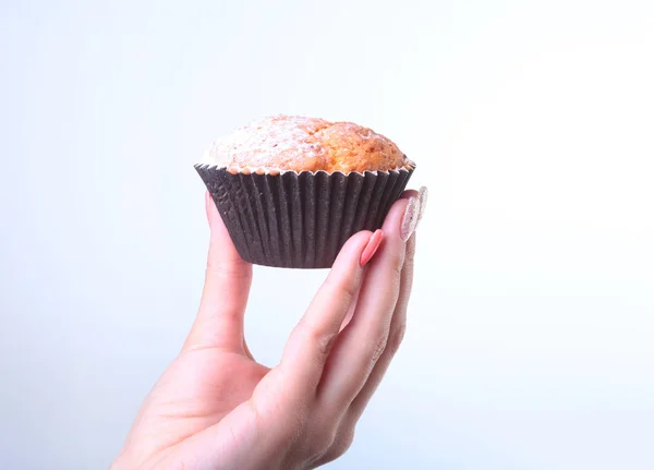 Domácí borůvkové rudy čokoládové muffiny s moučkovým cukrem a čerstvých bobulí v ruce žena. — Stock fotografie