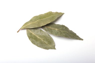Aromatik beyaz zemin üzerine defne yaprağı kurutulmuş.