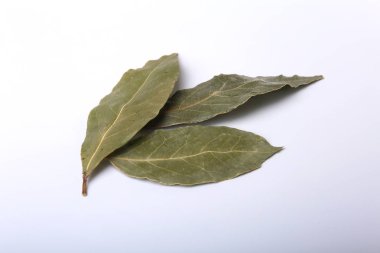 Aromatik beyaz zemin üzerine defne yaprağı kurutulmuş.
