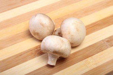 Taze beyaz mantar şampiyonu tahta arka planda.