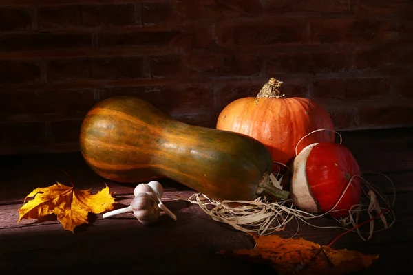 Fondo de calabaza de otoño de acción de gracias calabazas y ajo surtidos en un estante de madera sobre un fondo de ladrillo . — Foto de Stock