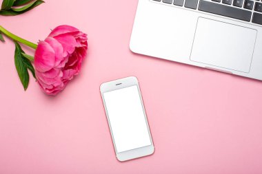 Cep telefonu modeli ve pembe pastel masa üzerindeki şakayık çiçeği düz yatıyordu. Çalışma masasında çalışan kadın.