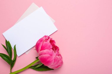 Güzel pembe şakayık çiçeği ve pastel pembe arkaplan üzerine yazdığın metin için kopya alanı olan bir defter.