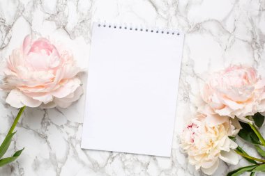 Güzel beyaz şakayık çiçeği ve mermer arka planda bir defter.