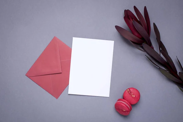 Presente cartão, flor e macaroons em fundo cinza — Fotografia de Stock