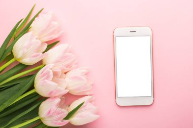 Cep telefonu ve pembe arka planda bahar çiçeği pembe laleleri. Aşk teması, Anneler Günü, Kadınlar Günü düz bir görünüm.