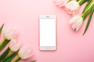 Cep telefonu ve pembe arka planda bahar çiçeği pembe laleleri. Aşk teması, Anneler Günü, Kadınlar Günü düz bir görünüm.