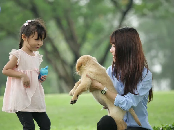 Asian boy and girl playing wiyh puppy dog in park — Stock Photo, Image