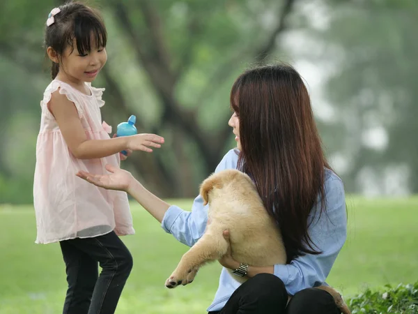 Asian boy and girl playing wiyh puppy dog in park — Stock Photo, Image