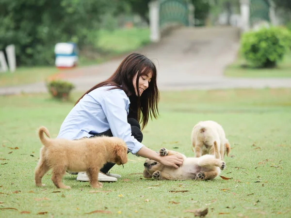 Ασιατικές γυναίκα παίζει κουτάβι σκυλί στο πάρκο — Φωτογραφία Αρχείου