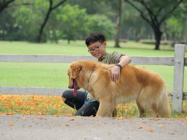 Asyalı çocuk köpek yavrusu köpek golden retreiver Park ile oynarken
