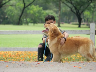 Asyalı çocuk köpek yavrusu köpek golden retreiver Park ile oynarken