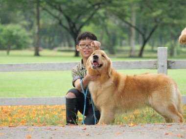 Asyalı çocuk köpek yavrusu köpek golden retreiver Park ile oynarken