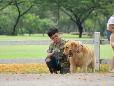 Asyalı çocuk köpek yavrusu köpek golden retreiver Park ile oynarken