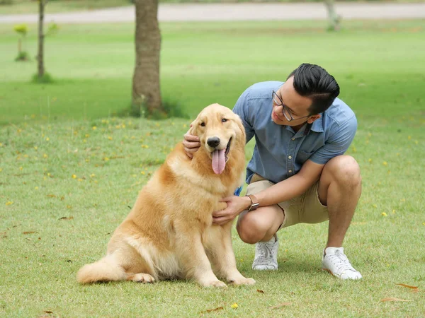 Asian man with dog golden retriever in park
