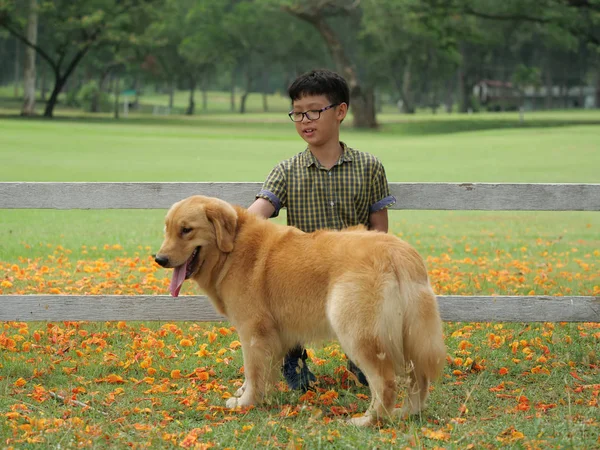 Ασίας αγόρι παίζει με κουτάβι σκυλί χρυσή Μπαρμπέ στο πάρκο — Φωτογραφία Αρχείου