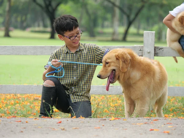 Asiático chico jugando con cachorro perro dorado retreiver en parque — Foto de Stock
