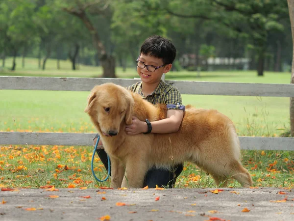 Ázsiai fiú kiskutya kutya golden retreiver parkban játszó — Stock Fotó