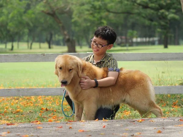 Asyalı çocuk köpek yavrusu köpek golden retreiver Park ile oynarken — Stok fotoğraf