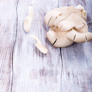 taze istiridye mantar