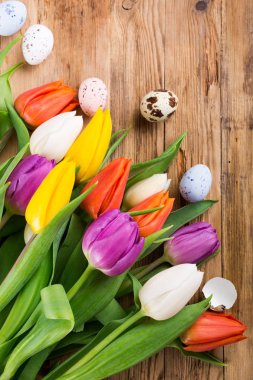 Eski ahşap arka plan üzerinde renkli Lale