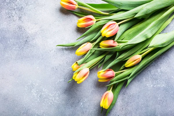 Lindas tulipas laranja amarelas — Fotografia de Stock